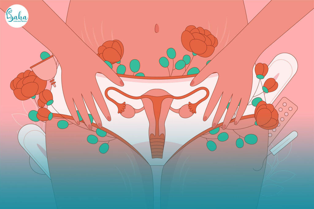 آناتومی واژن