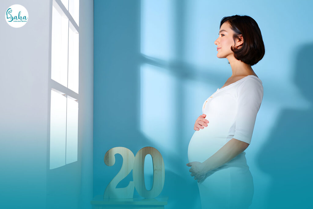 هفته بیستم بارداری