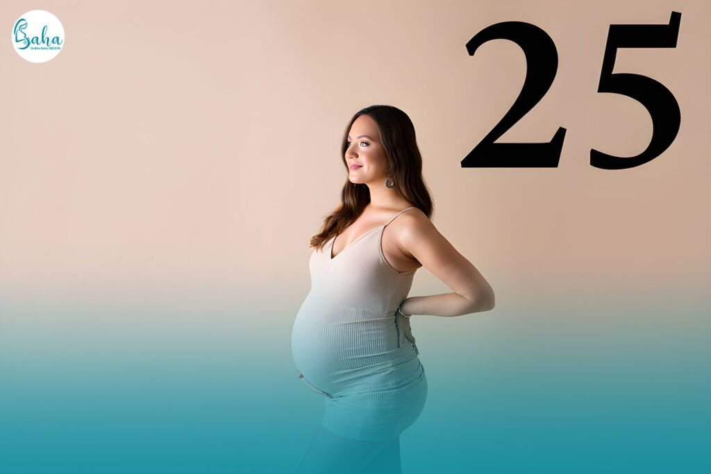 هفته بیست و پنجم بارداری