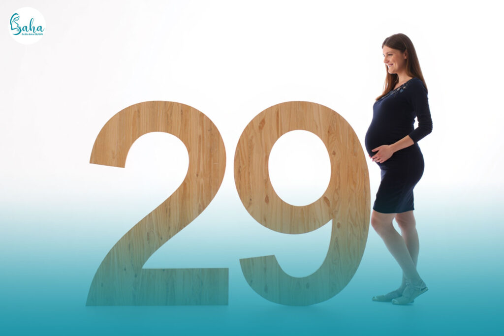 هفته بیست و نهم بارداری