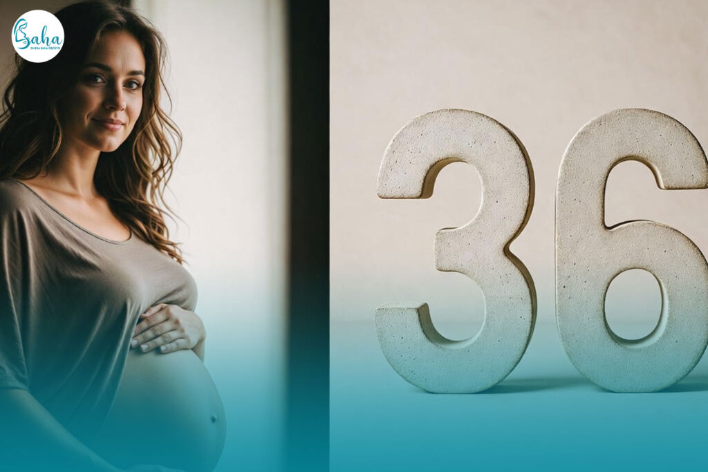 هفته سی و ششم بارداری