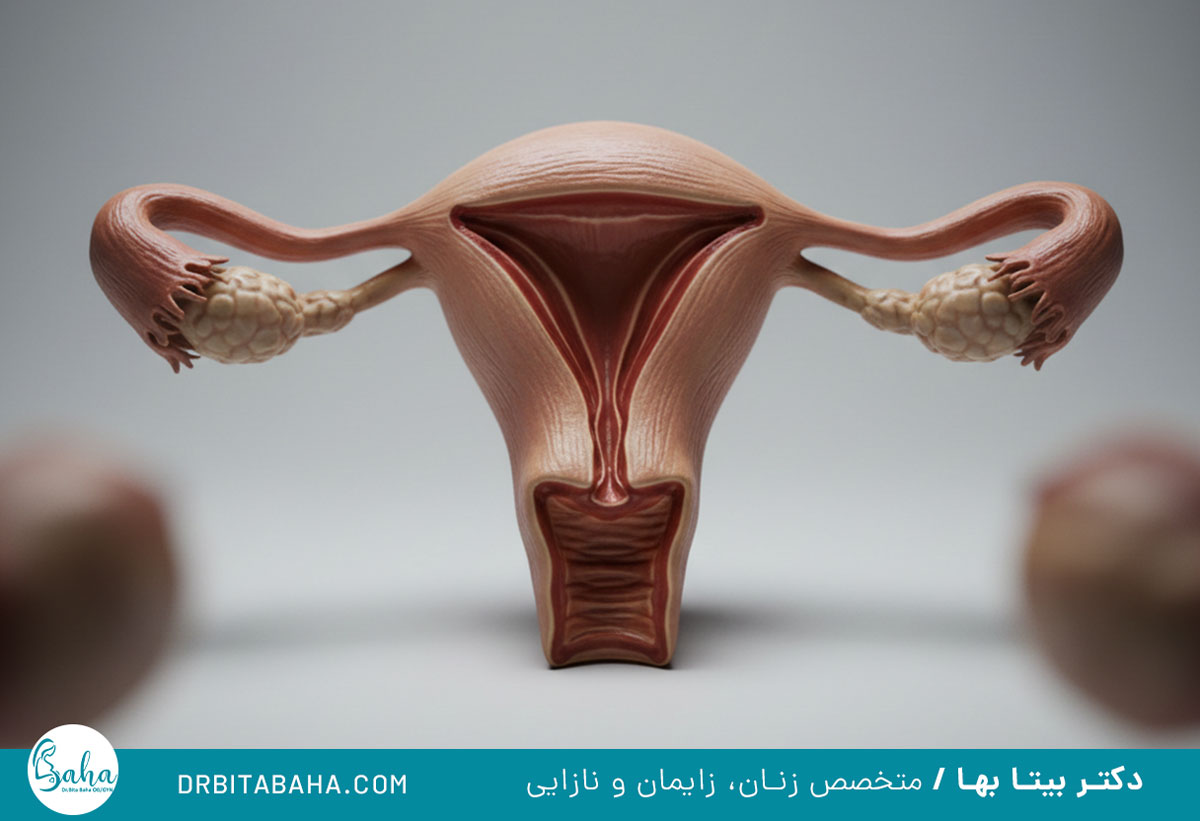 راههای تقویت رحم برای باردار شدن