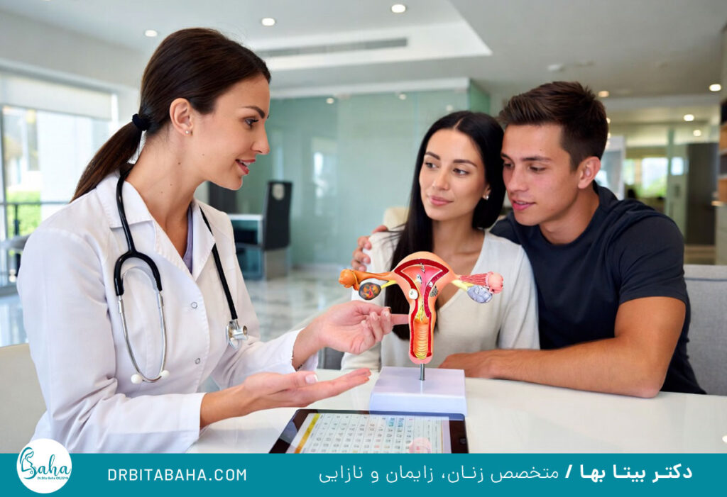 تخمین زمان تخمک گذاری بعد از پریود برای پسردار شدن