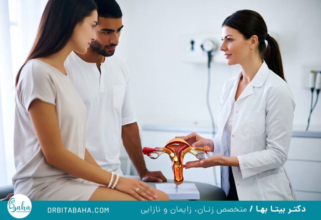 زمان تخمک گذاری بعد از قاعدگی برای دختر دار شدن