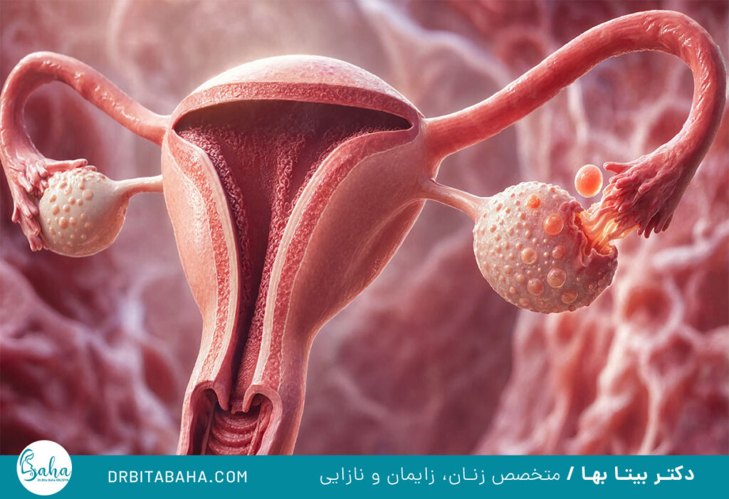 زمان تخمک گذاری بعد از پریود